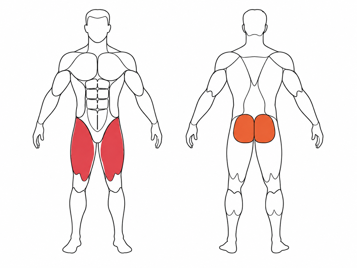 Muscle Map - Curtsy Lunge